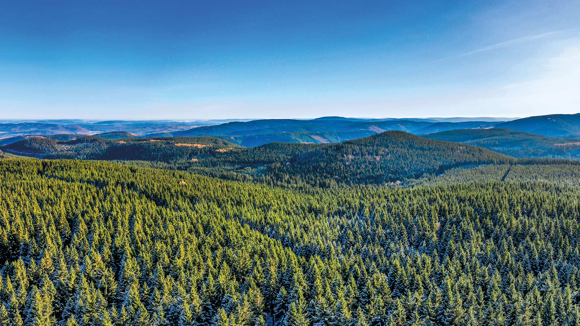 Thüringer Wald Landschaft